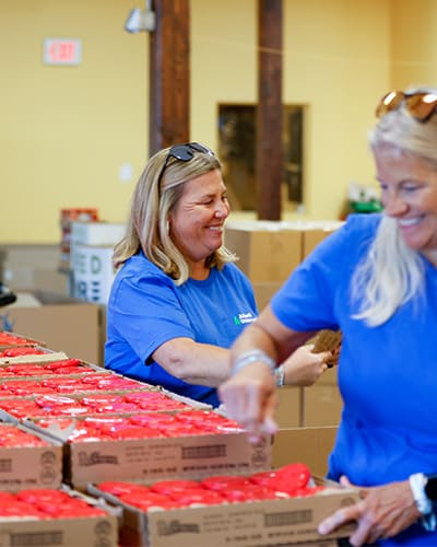 volunteers