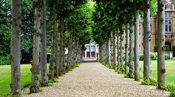 Institutional